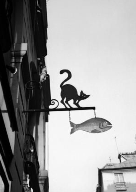 Lire la suite à propos de l’article La rue du Chat-qui-Pêche